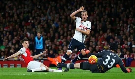 供了参考 供了参考